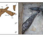 Ancient Woodworking: A Groundbreaking Discovery at Kalambo Falls