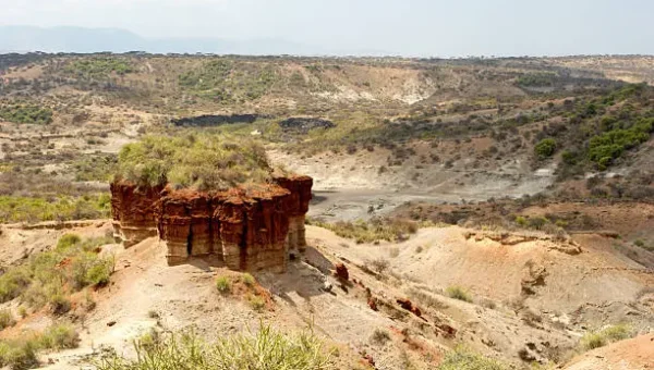oldest bone tools Tanzania